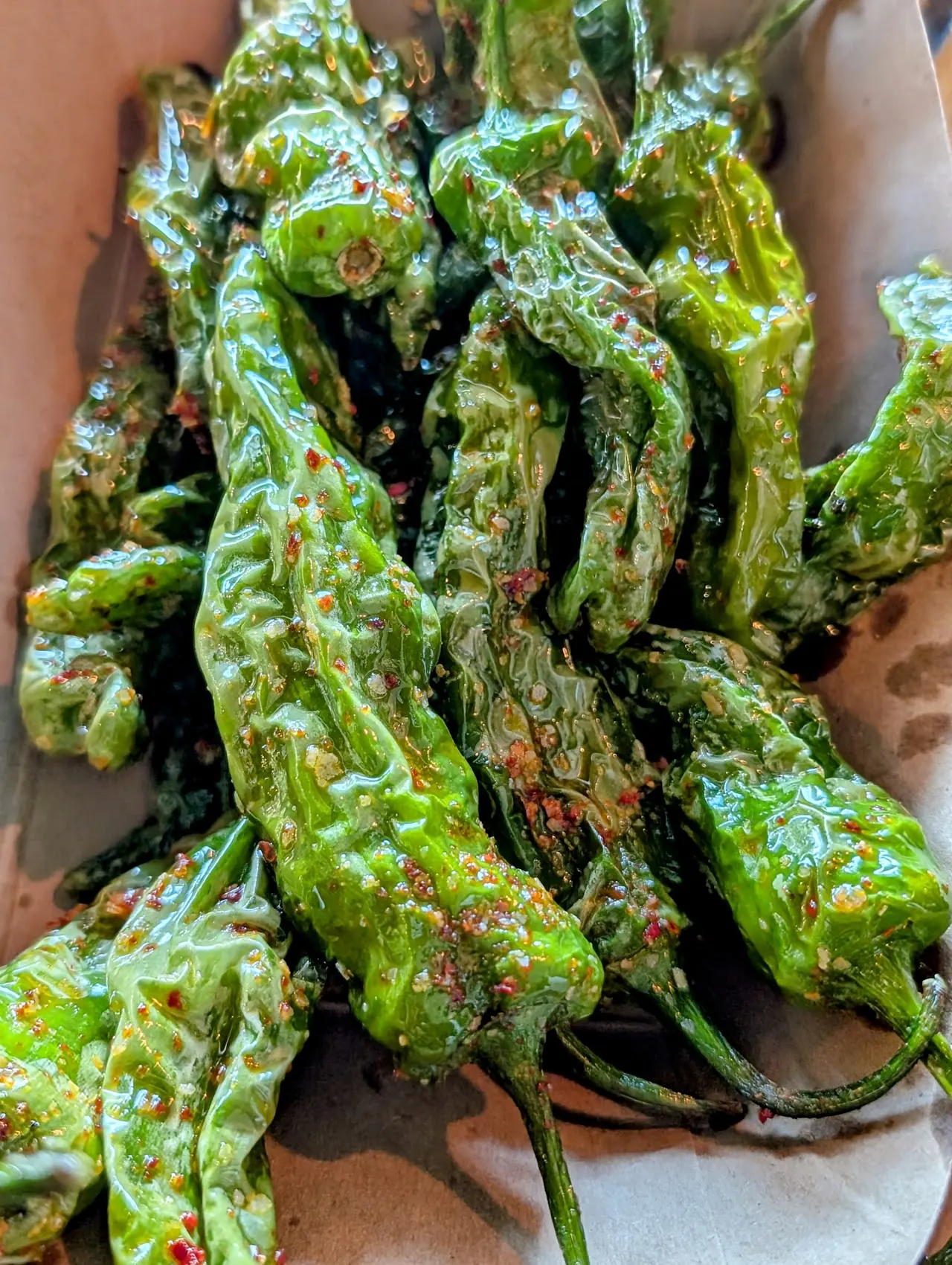 Blistered shishito peppers side